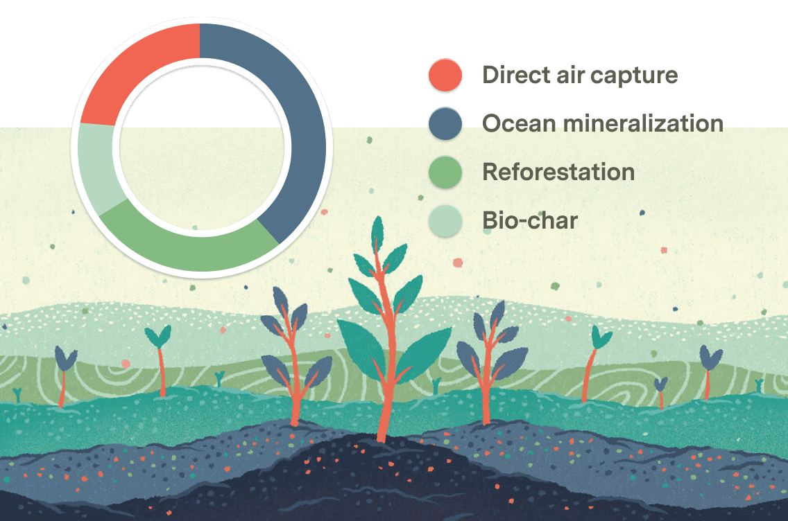 Illustration of a carbon removal portfolio on top of growing plants